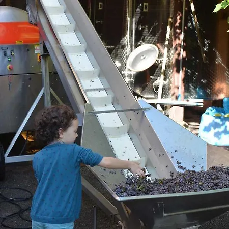 Chez Cecile Chez Le Vigneron