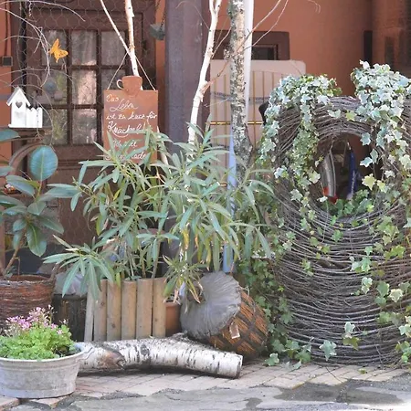 Chez Cecile Chez Le Vigneron 3* Colmar