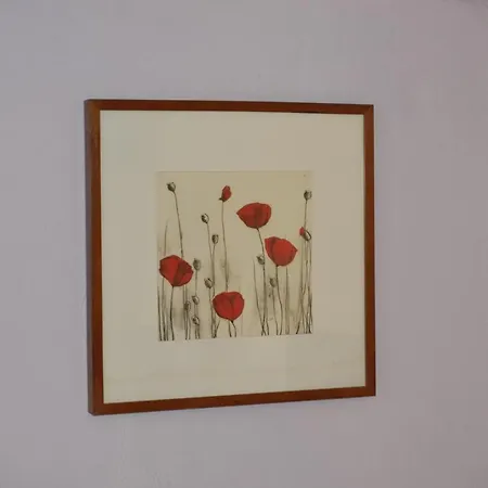 Bed & Breakfast Chez Cecile Chez Le Vigneron Colmar