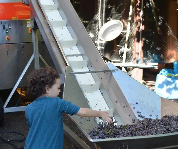 Chez Cecile Chez Le Vigneron