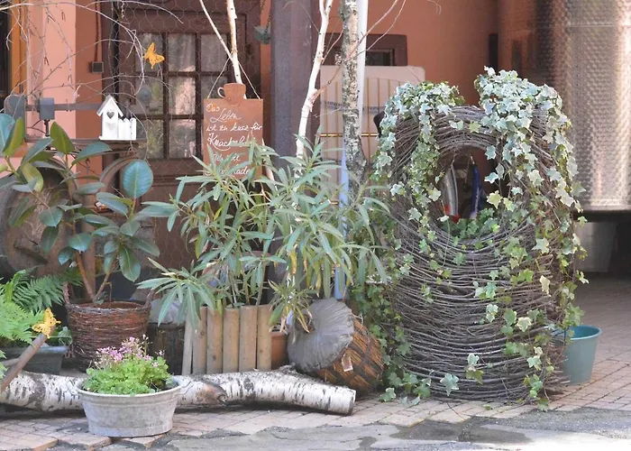 Chez Cecile Chez Le Vigneron 3* Colmar