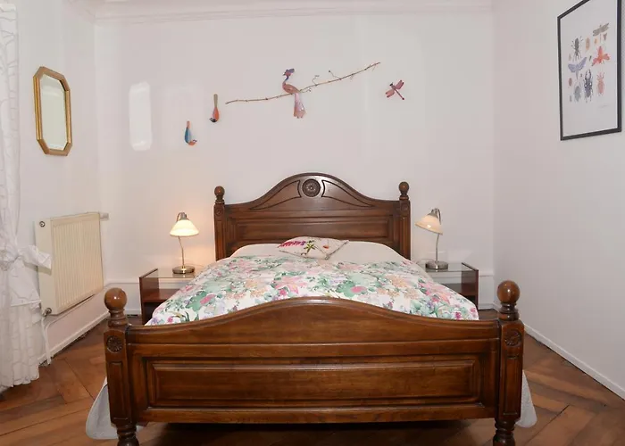 Bed & Breakfast Chez Cecile Chez Le Vigneron Colmar