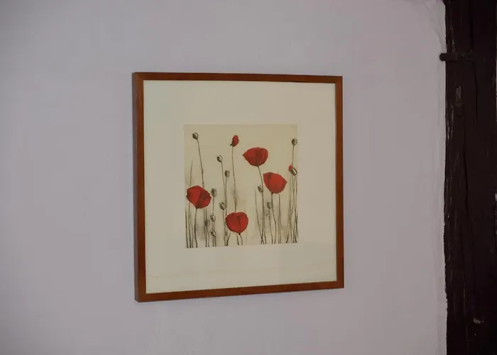 Bed & Breakfast Chez Cecile Chez Le Vigneron Colmar