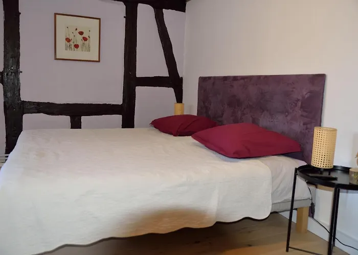 Chez Cecile Chez Le Vigneron 3*